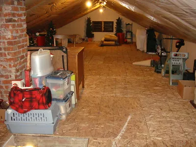 organized attic